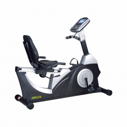 Recumbent Bike