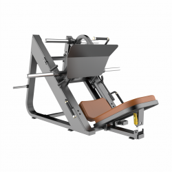 Angled Leg Press