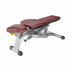 Multi Adjustable Bench