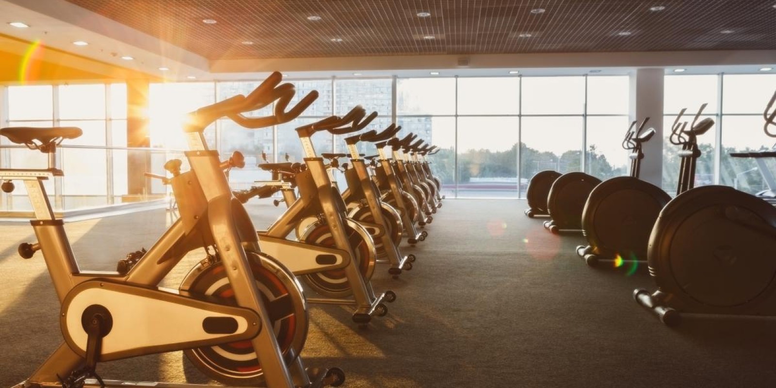 Guia básico para montar uma academia de musculação